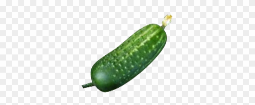 Cucumber Clipart Transparent Background - Огурец Клипарт На Прозрачном Фоне #1013527