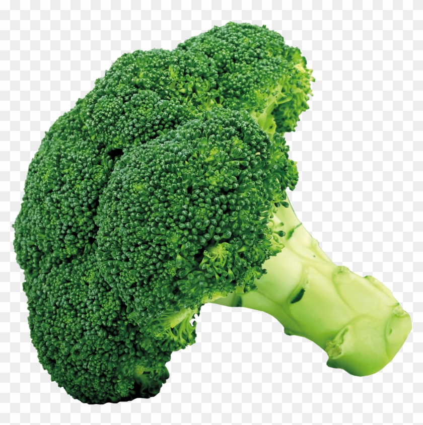 Broccoli Png Picture - Broccoli Png #1013530
