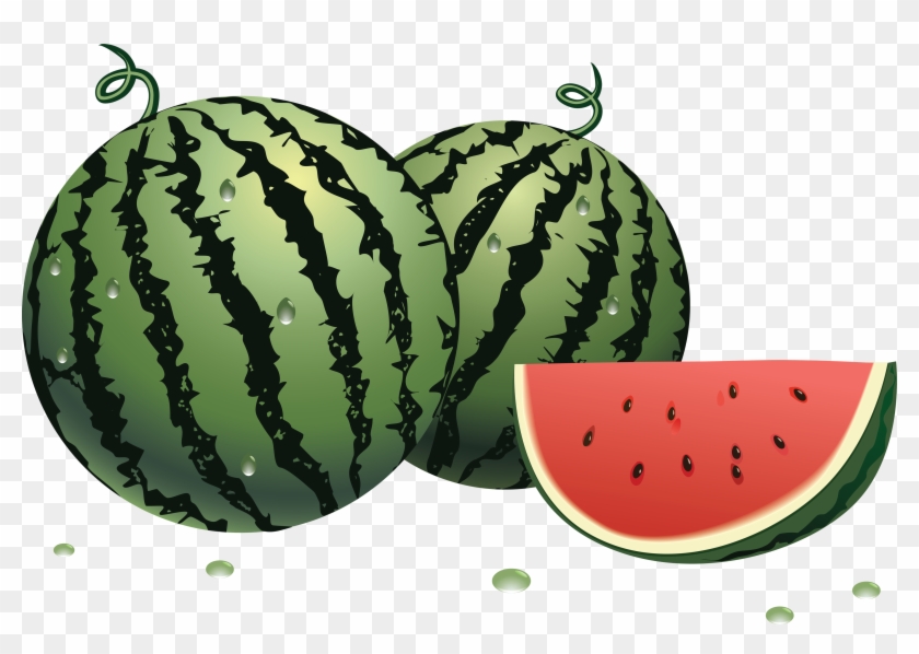 Watermelon Patch Clip Art #1013532