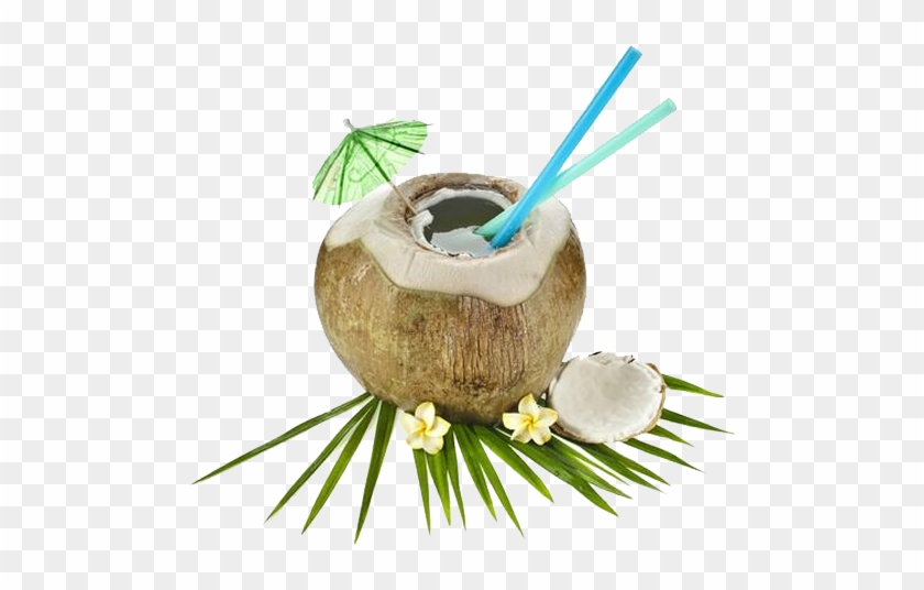 The Coconut Processing Therefore Traditionally Remained - Noix De Coco A Boire #1013549