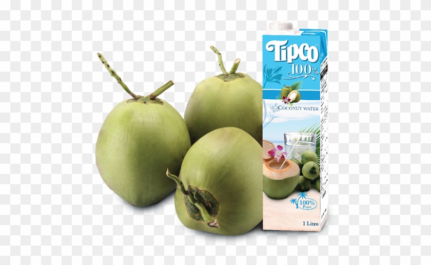 New Product Introducing Tipco Coconut Water - Tipco 100% Coconut Water #1013567