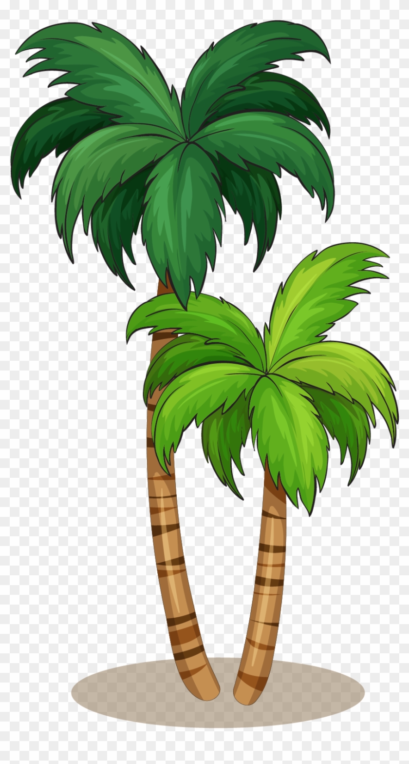 Arecaceae Royalty-free Illustration - Coconut Tree Vector #1013653