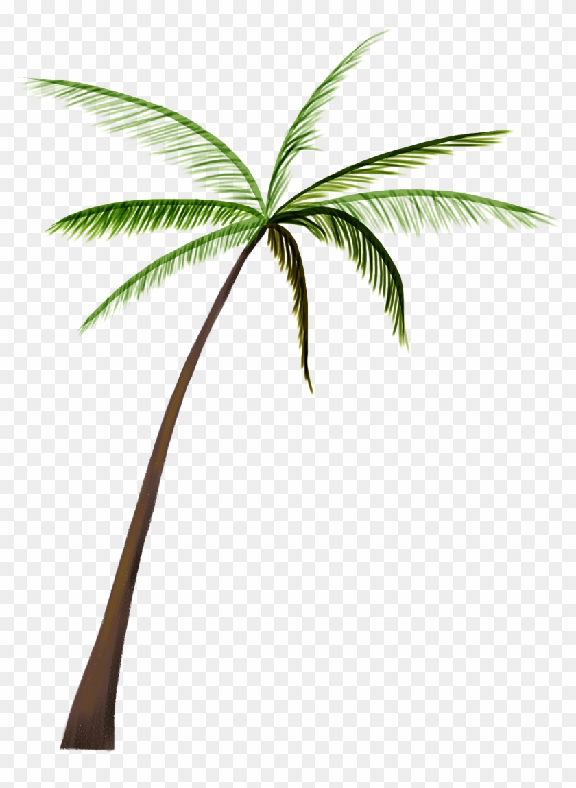 Arecaceae Nata De Coco Coconut Tree - Blancho Bedding Snow World - Large Wall Decals Stickers #1013659