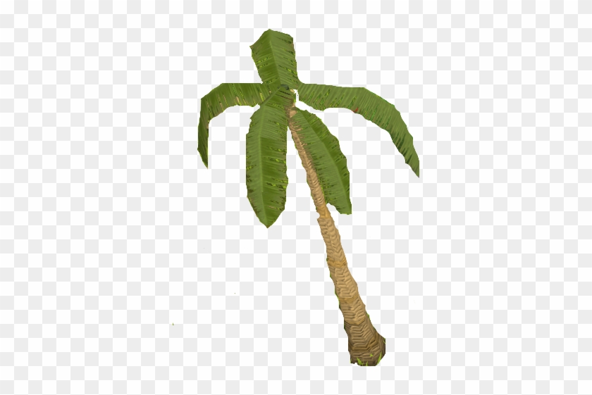 Leafy Palm Tree - White Walnut #1013658