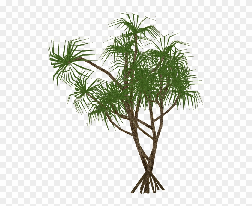 Treehala Slice - Wiki #1013660