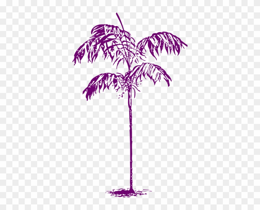 Purple Palm Clip Art At Clker Com Vector Clip Art Online - Chamaedorea Sartorii #1013806