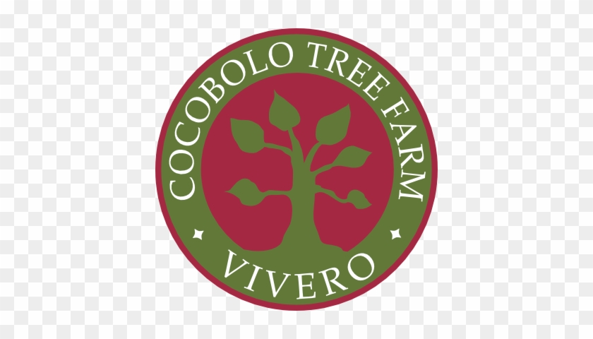 Cocobolo Tree Farm - Travel #1013810