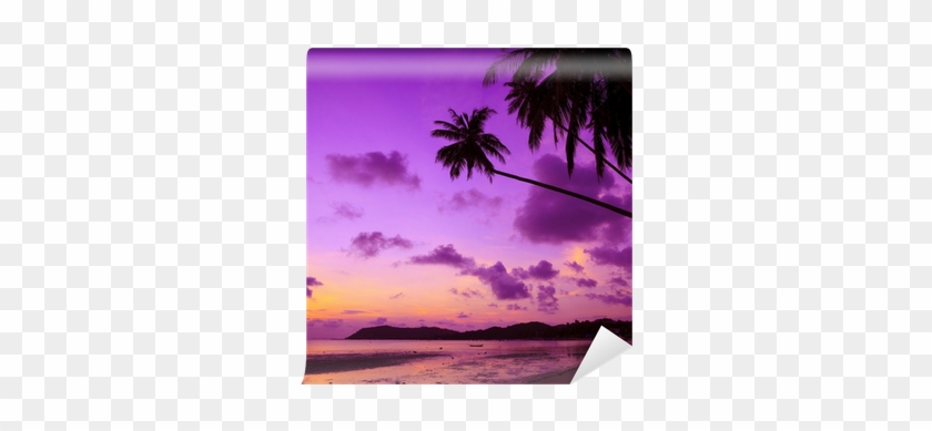 Tropical Beach With Palm Trees At Sunset, Thailand - Pink Sand Beautiful Beaches #1013814