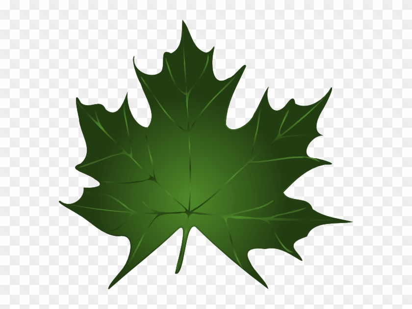 Green Maple Leaf Clipart Kid - Canada #1013816