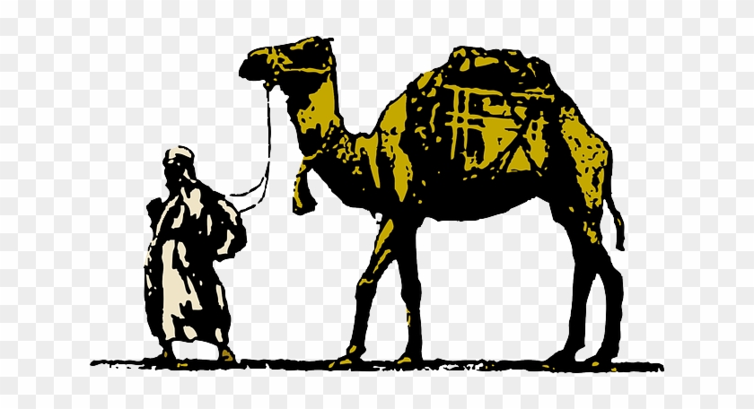 Cameleer, Wog, Camel Driver, Dromedary, Animal - Camel Clip Art #1013854