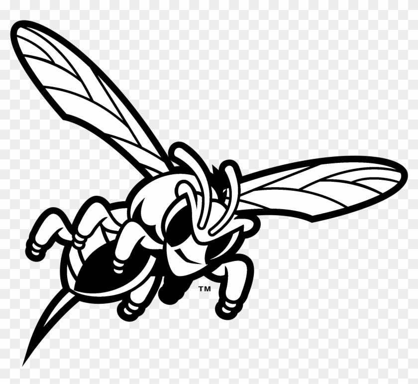Delaware State Hornets Logo Black And White - Transparency #1013867