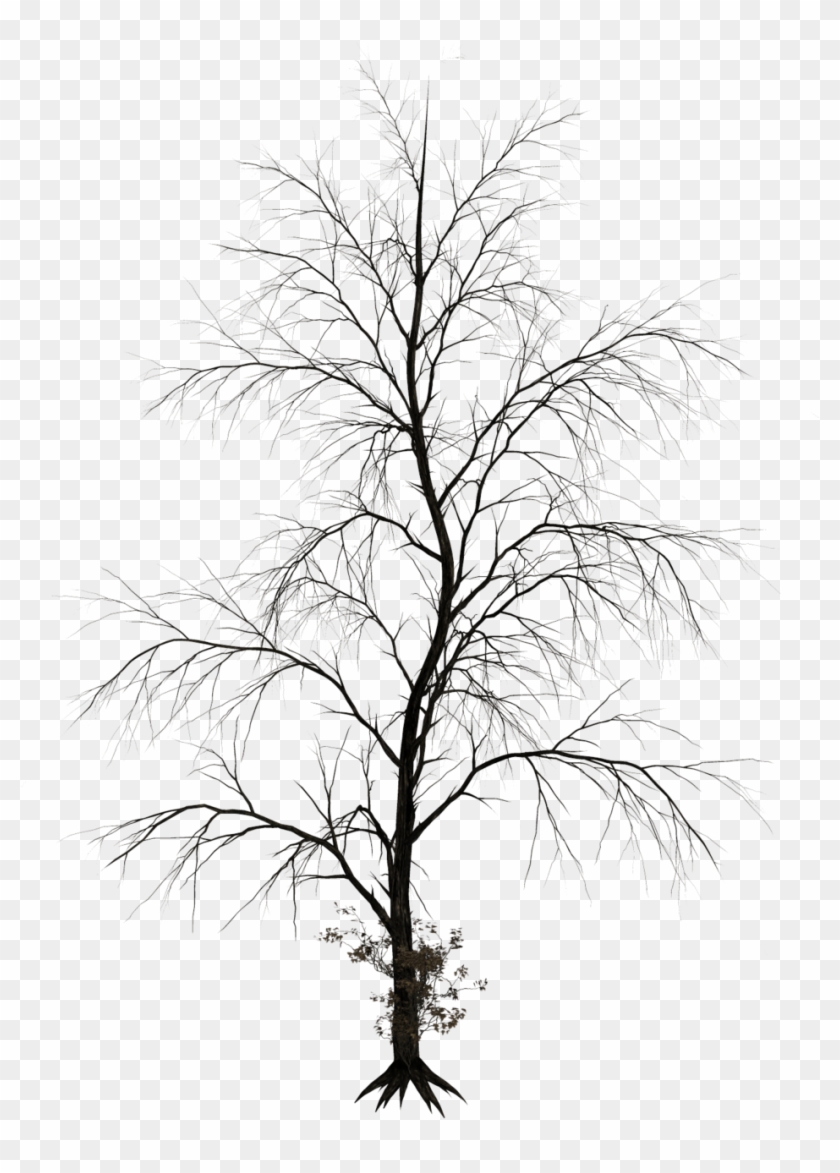 Haunted Tree - Dark Tree Png #1014029