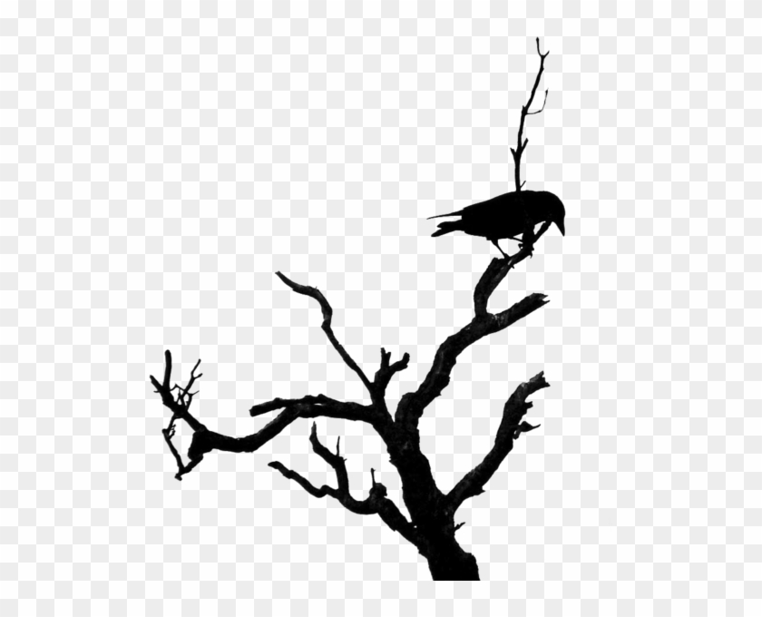 Share This Image - Bird On Dead Tree #1014050