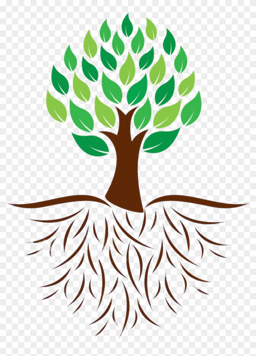Tree And Roots Colour Illustration Transparent Png - Tree With Roots Clipart #1014060