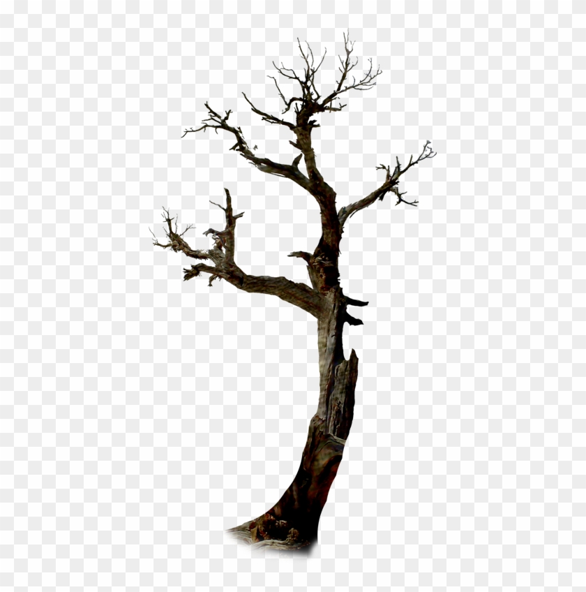 Http - //by-anna - Ucoz - Ru/halloween/nld Tree - Arbre Halloween Png #1014138
