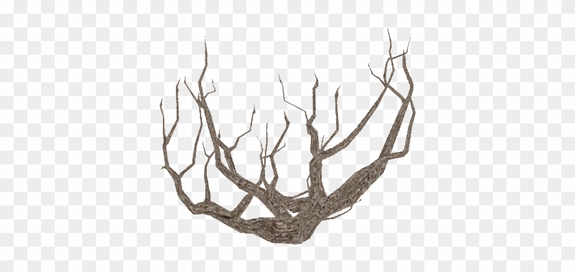 Dead Bush - Driftwood #1014141