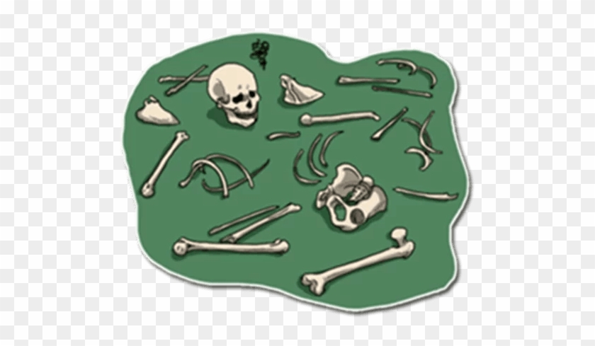 Скелет Боб - Skeleton #1014252