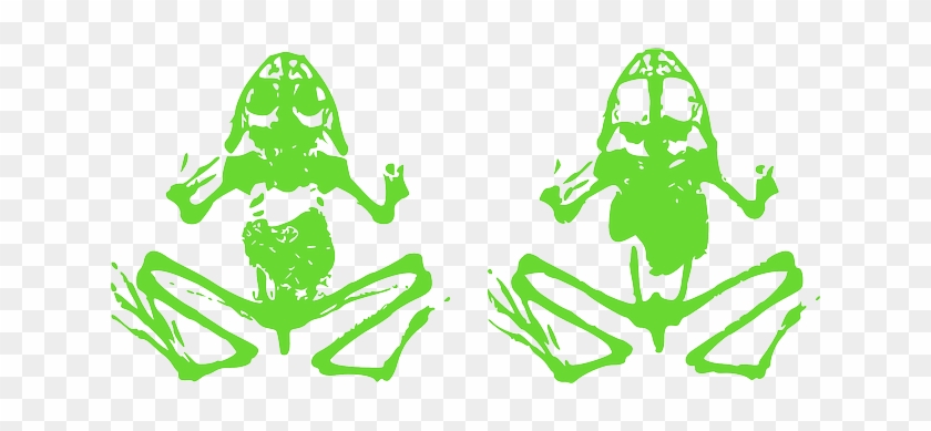 Animal, Green, Amphibian, Death, Fen, Skeleton - Sungai Hutan Vector Hd #1014266