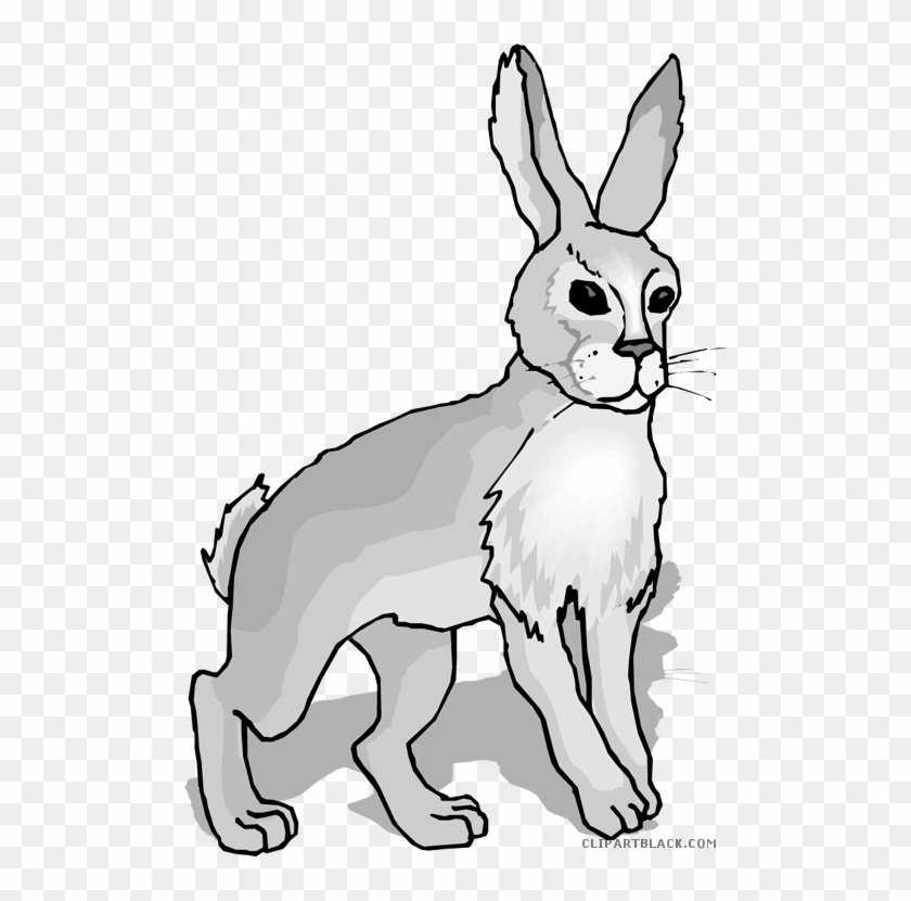 Gray Rabbit Animal Free Black White Clipart Images - Homophones Hare And Hair #1014285