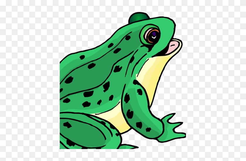 Frog Life Cycle - Clipart Picture Of Frog #1014373