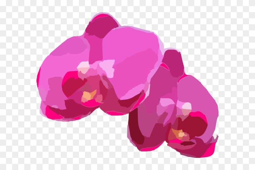 Pink Orchids Clip Art - Orchid Png Vector #1014398