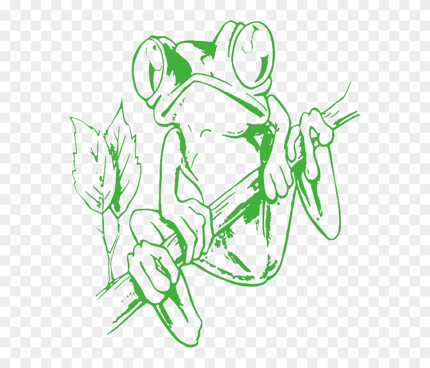 Frog Outlines - Brazilian Tree Frog Colouring Page #1014433