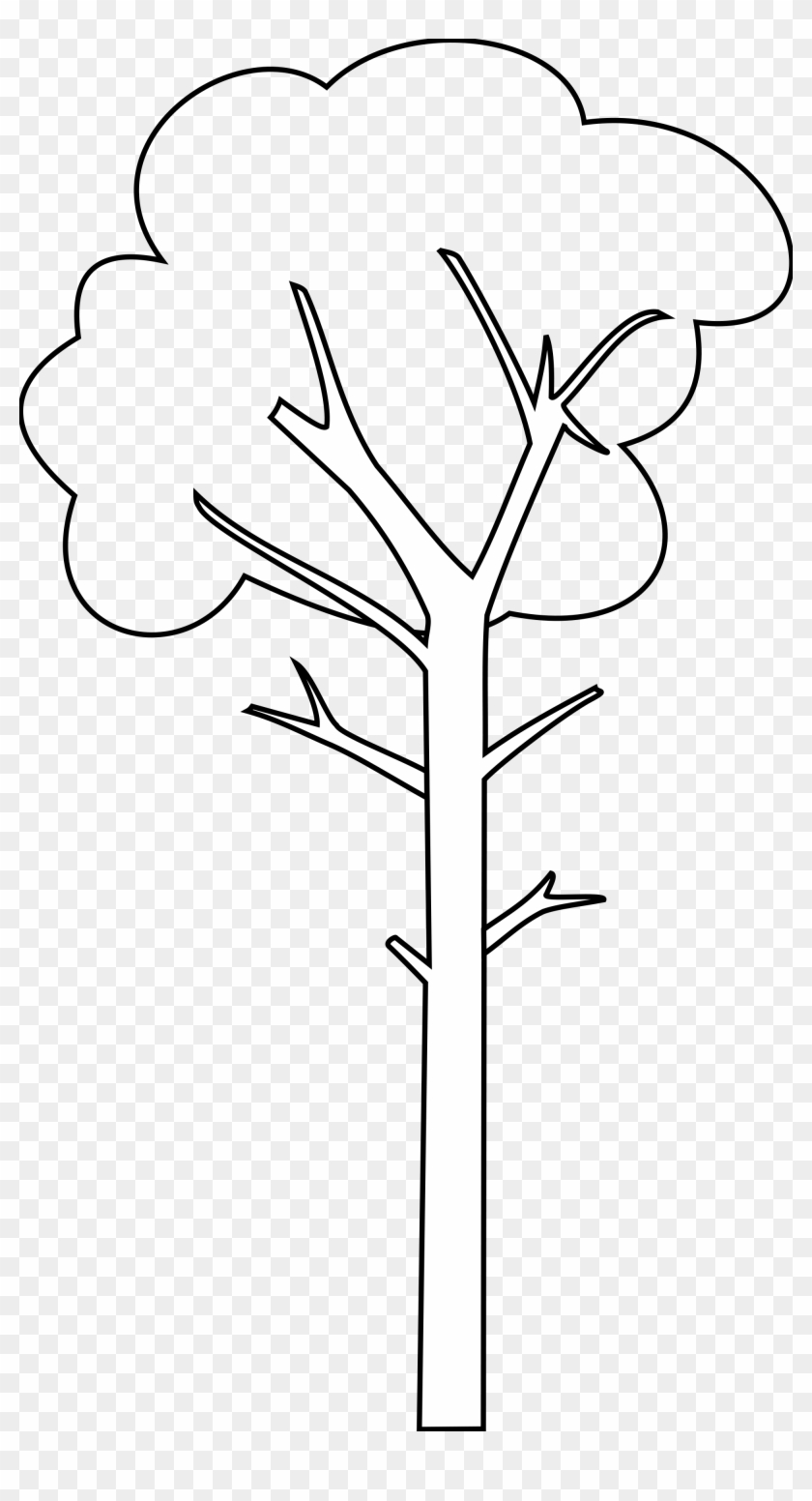 Tall Tree Cartoon Black And White #1014443