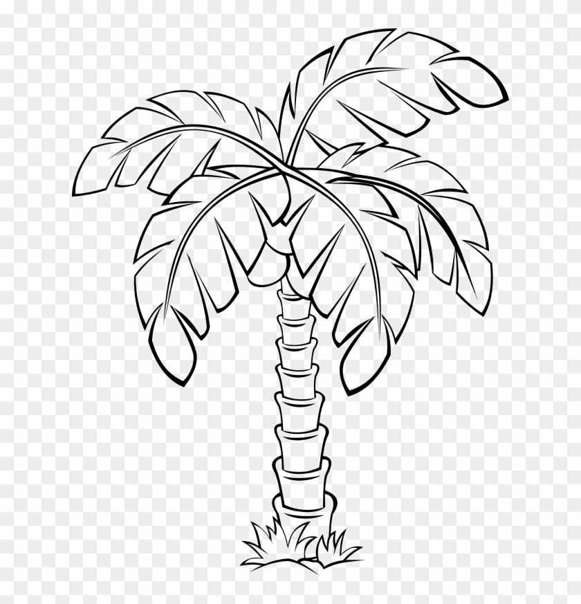 Medium Image - Palm Tree Outline Clip Art #1014465