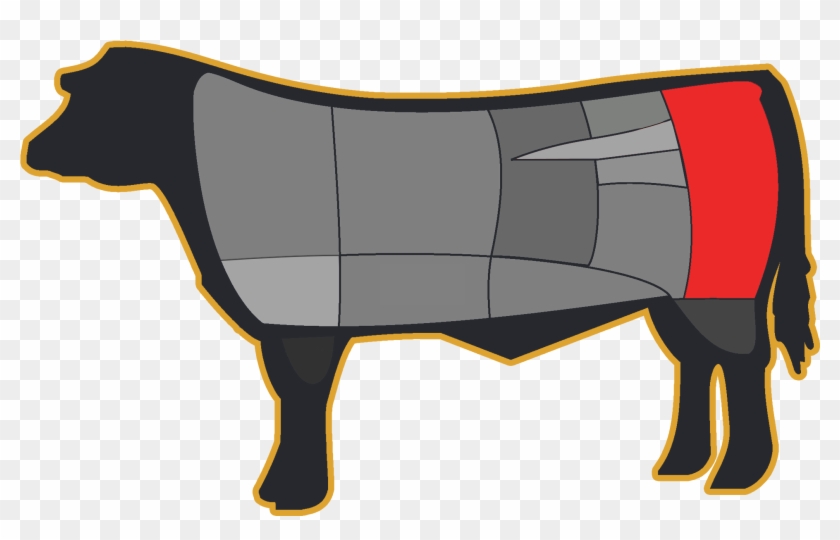 Cooking Concepts - Part Of The Cow Is Eye Fillet #1014487