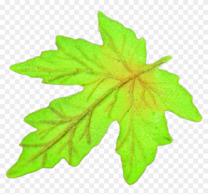 Leaf Shaped Wafer - Maple Leaf #1014564