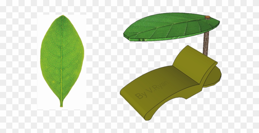 The Leaf Is The Ideal Shape For Creating Shade And - The Leaf Is The Ideal Shape For Creating Shade And #1014572