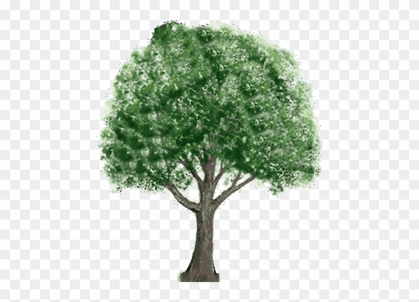 Gifs Animados De Arboles, Parte - Green Tree Png #1015107