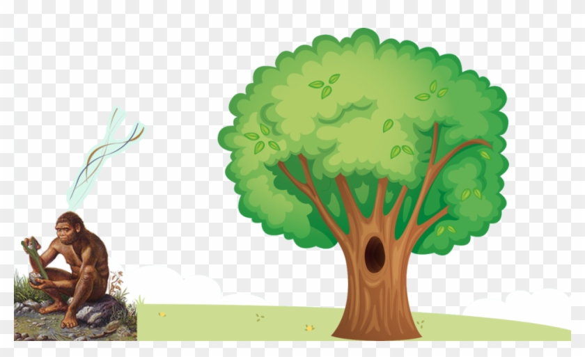 El Árbol - Tree With Hole Clipart #1015111