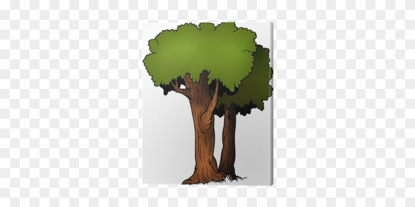 Cuadro En Lienzo Dos Árboles - Trees Cartoon #1015115