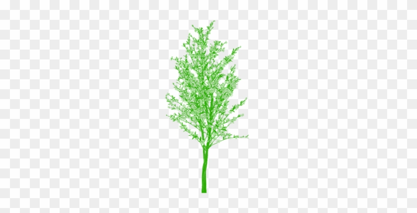 Free Árbol Png Clipart Vector De Dibujos Animados, - Clip Art #1015124