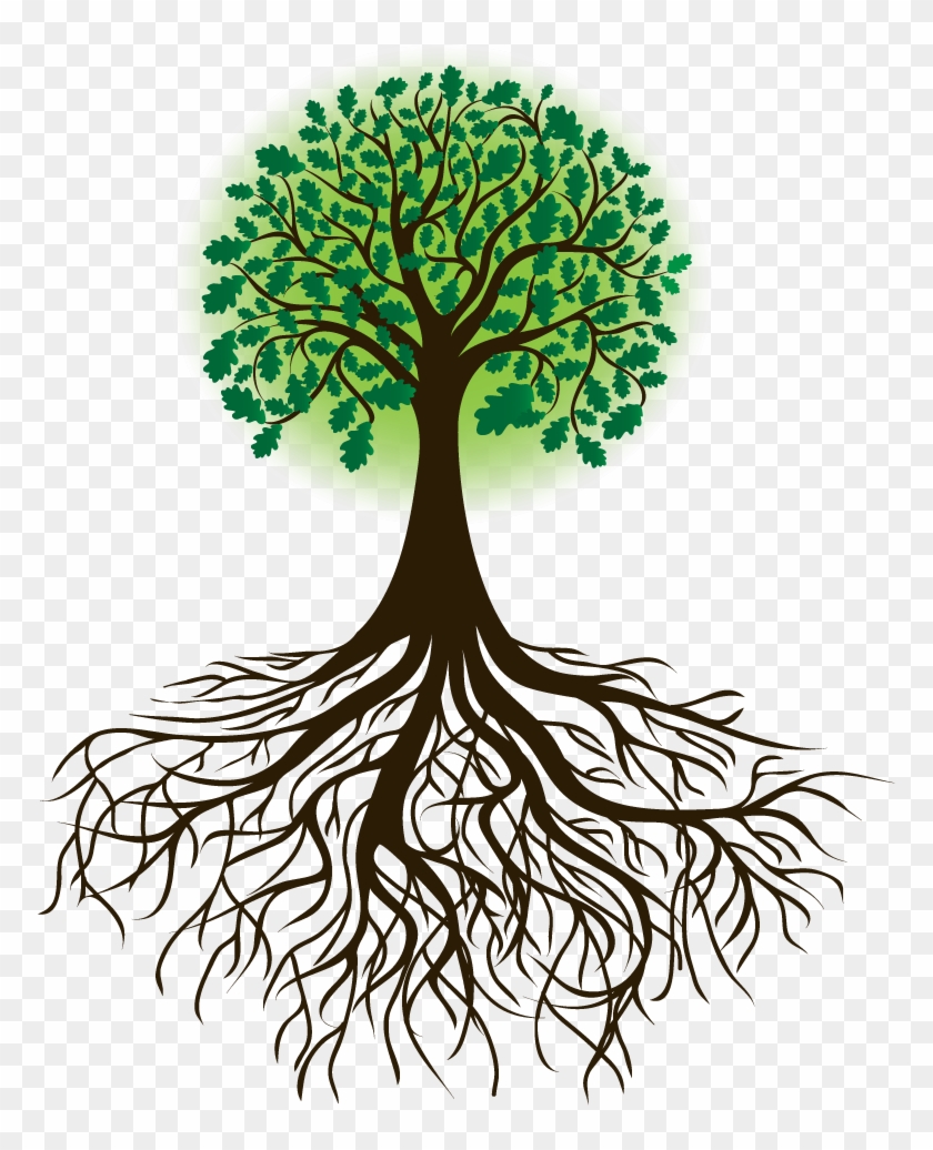 Arbol Raices Borges - Tree With Roots Drawing #1015131