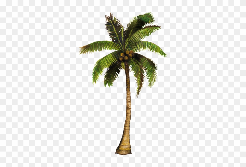 Vecinos Verdes - Cocos En Png #1015148