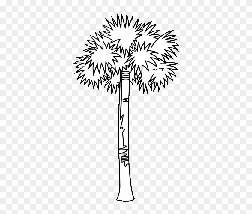 Palm Tree Clipart Sabal - South Carolina State Tree #1015159