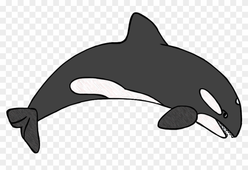 Featured image of post Humpback Whale Clipart Black And White