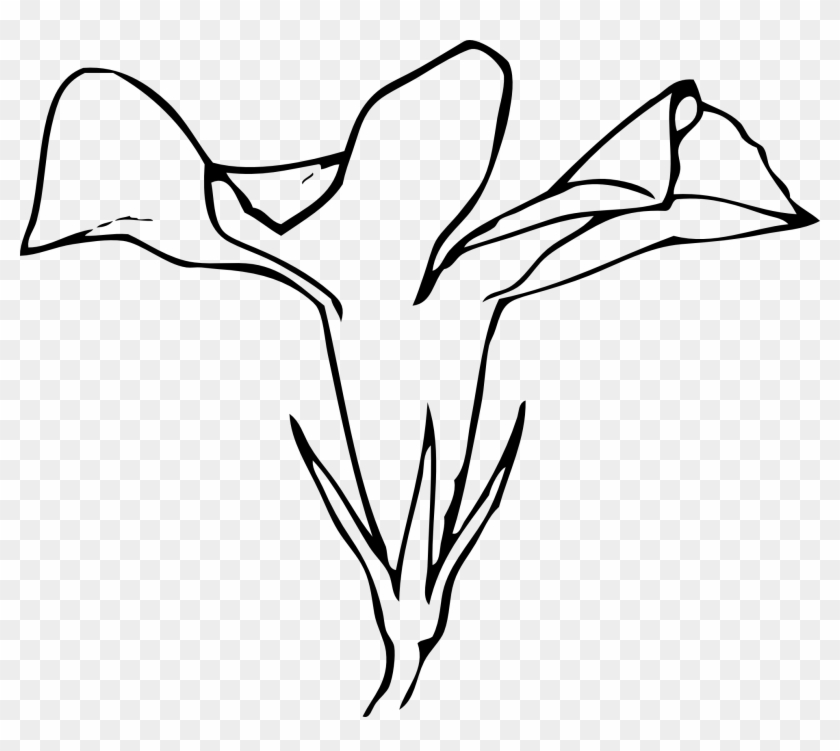 Line Drawing Flowers - Side View Flower Drawing #1015352