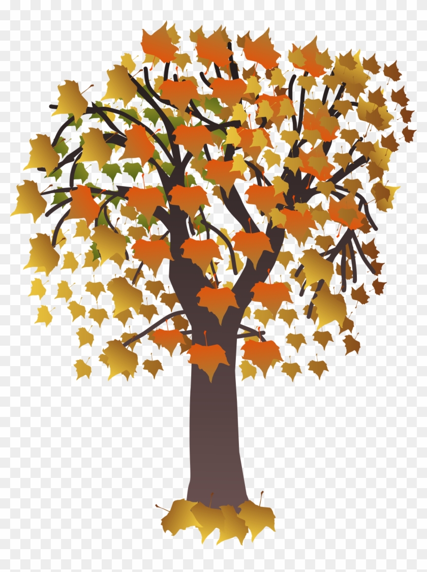 Maple Autumn Png Images - Draw A Maple Tree #1015361