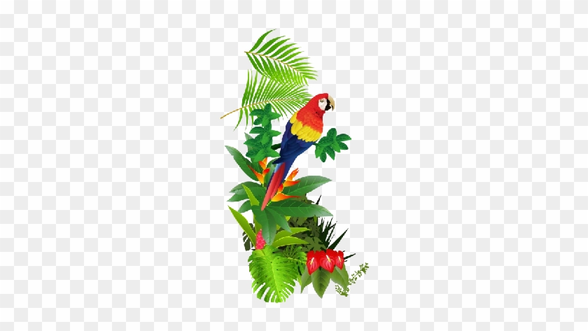 Pin Tropical Bird Clipart - Tropical Birds Png Format #1015389