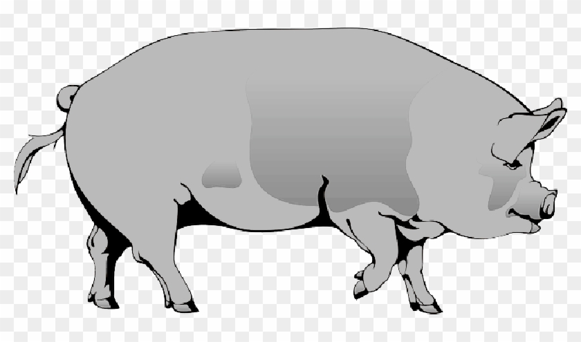 Barn, Farm, Pig, Animal, Spotted, Mud, Slop, Spot - Pig Clipart #1015458