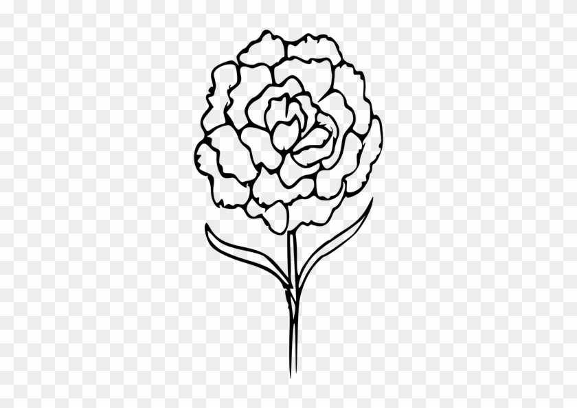 Outline Of A Tree Drawing 17, Buy Clip Art - Tattoo Small Carnation Black And White #1015483