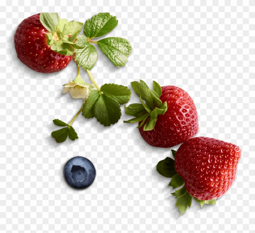 Fresh Berries - Food #1015565