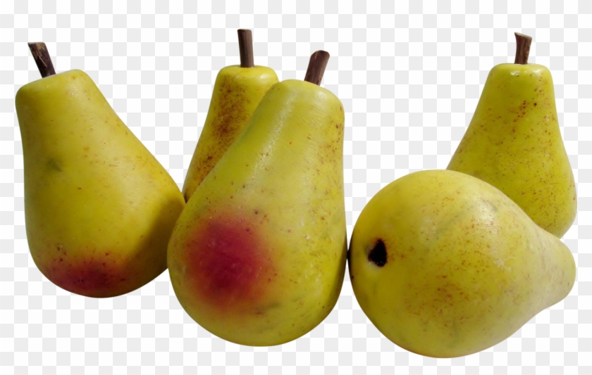 Asian Pear #1015580