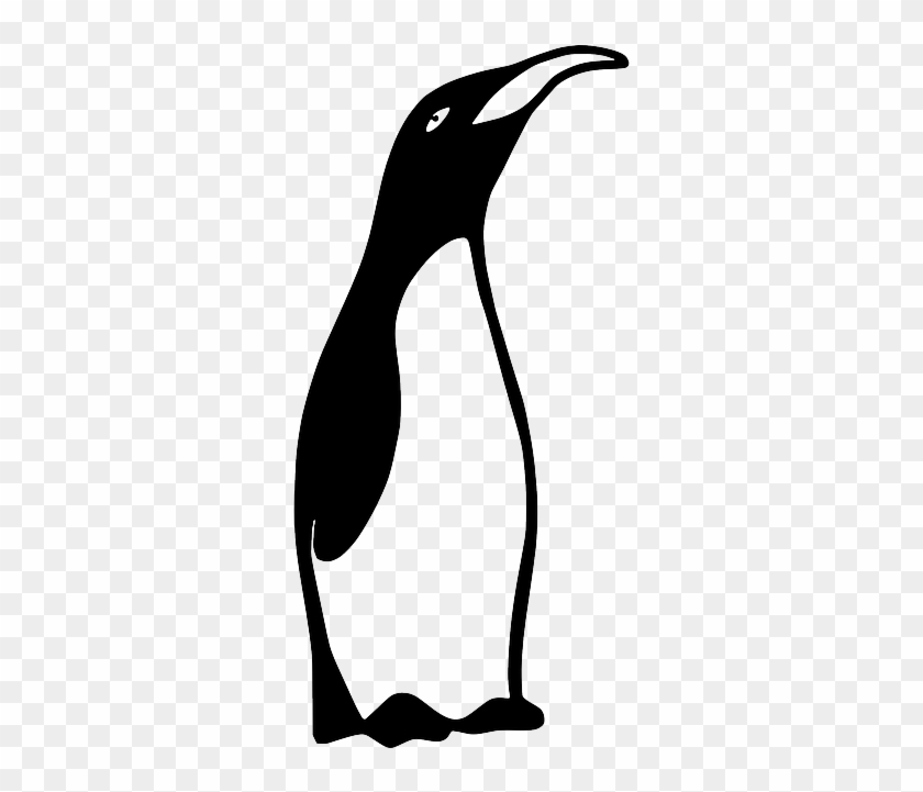 Tux Emperor Penguin, Penguin, Animal, Bird, Tux - Black And White Penguine Clipart #1015597