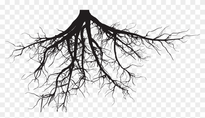 Just The Tip - Tree With Roots Silhouette #1015715
