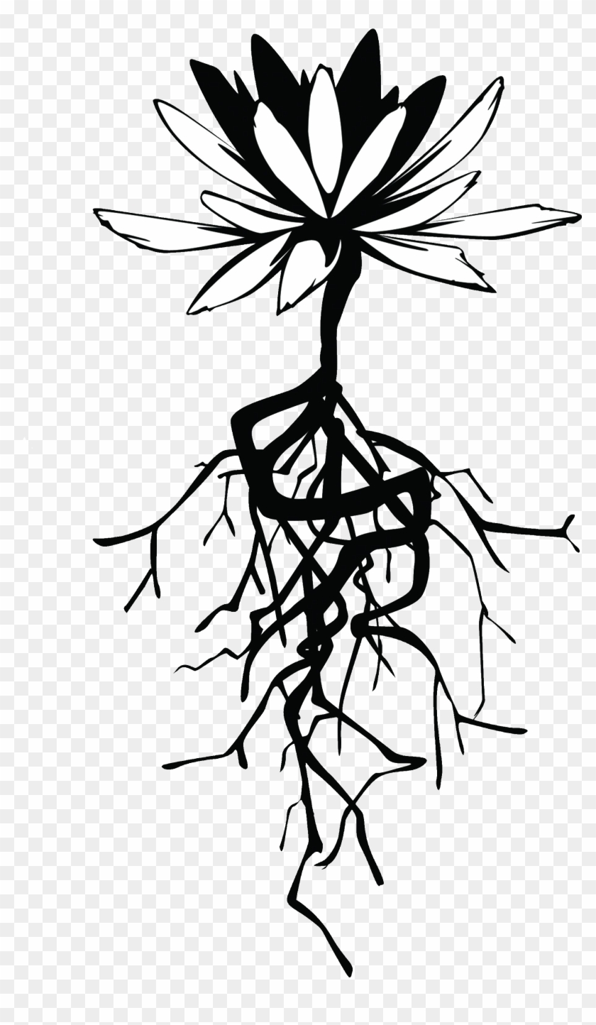 Roots Flower Logo Roots Family Therapy - Flower With Root Drawing #1015716