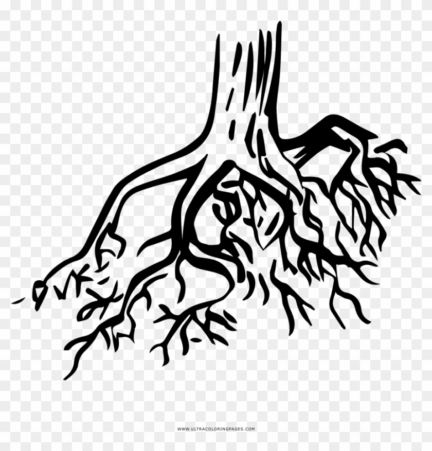 Tree Roots Coloring Page - Raices Para Colorear #1015717